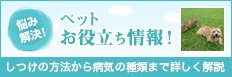 悩み解決! ペットお役立ち情報! しつけの方法から病気の種類まで詳しく解説