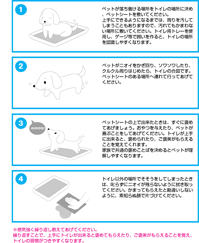 クリーンワン　しつけだワン　トイレの上手なしつけ方