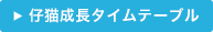 仔猫成長タイムテーブル